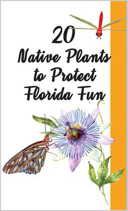 Be Floridian Now Native Plants Brochure